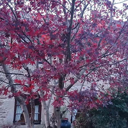 Kır Evi Aldea Os Muinos